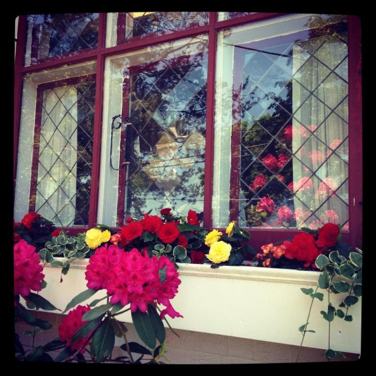 Belgravia B&B Truro Dış mekan fotoğraf